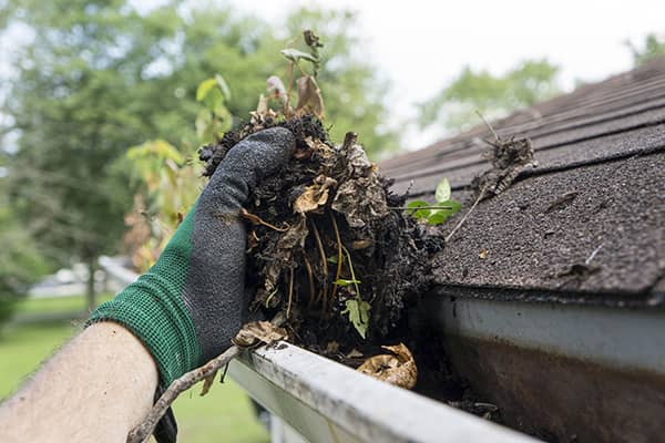 Professional Gutter Cleaning Services