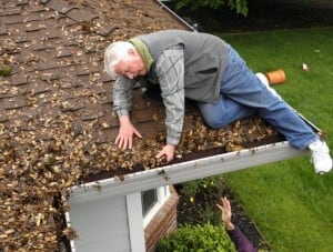 Gutter Cleaning